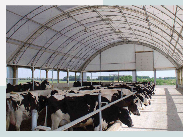 Тентовые коровники в Ухте